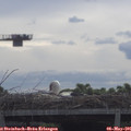 09_35-mast.jpg