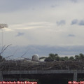 09_40-mast.jpg