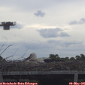 09_50-mast.jpg