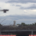 10_05-mast.jpg