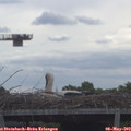 10_10-mast.jpg