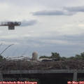 10_15-mast.jpg