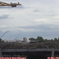 10_20-mast.jpg