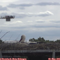 10_25-mast.jpg