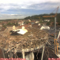 10_35-nest.jpg