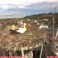 10_40-nest.jpg