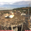 10_45-nest.jpg