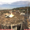 10_55-nest.jpg