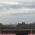 11_10-mast.jpg