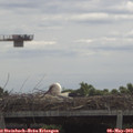 11_35-mast.jpg