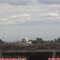 11_40-mast.jpg