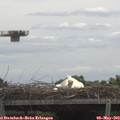 12_15-mast.jpg