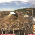 12_15-nest.jpg