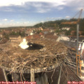 12_20-nest.jpg