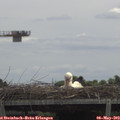 12_30-mast.jpg