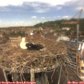 12_30-nest.jpg