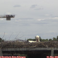 12_40-mast.jpg