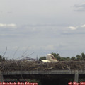 12_45-mast.jpg