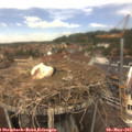 12_55-nest.jpg