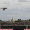 13_05-mast.jpg