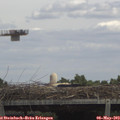 13_20-mast.jpg