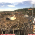 13_25-nest.jpg