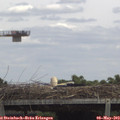 13_30-mast.jpg