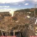 13_50-nest.jpg