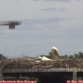 14_15-mast.jpg