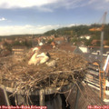 14_15-nest.jpg