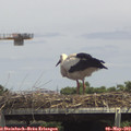 14_30-mast.jpg