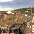 14_30-nest.jpg