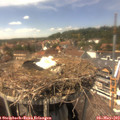 14_35-nest.jpg