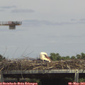 14_40-mast.jpg