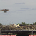 14_45-mast.jpg