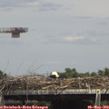14_55-mast.jpg