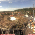 14_55-nest.jpg