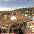 15_05-nest.jpg