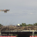 15_10-mast.jpg