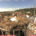 15_10-nest.jpg