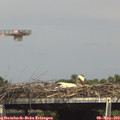 15_30-mast.jpg