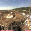 15_30-nest.jpg