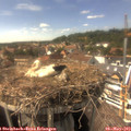15_35-nest.jpg