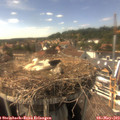 15_45-nest.jpg