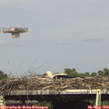16_10-mast.jpg