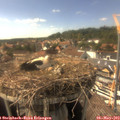 16_10-nest.jpg