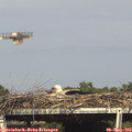 16_20-mast.jpg