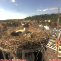 16_25-nest.jpg