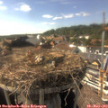 16_35-nest.jpg