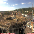 16_45-nest.jpg